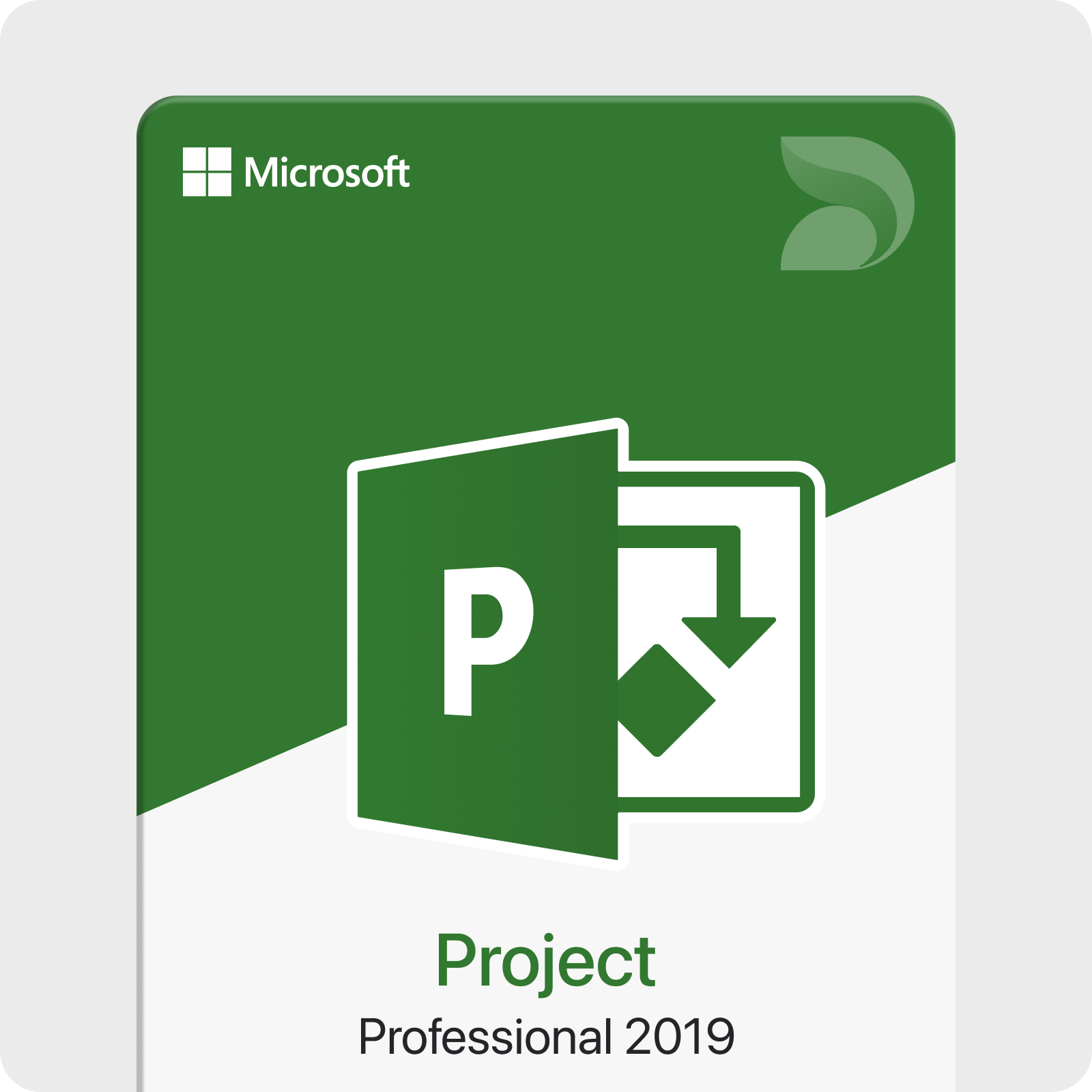 Microsoft Project Professional 2019
